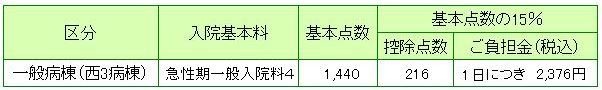 R11001.JPG